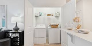 Evergreen at Five Points Gallery 24