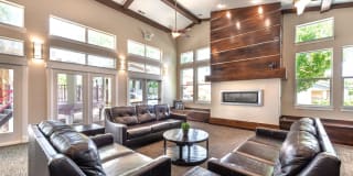 Olympus at The District Gallery 36