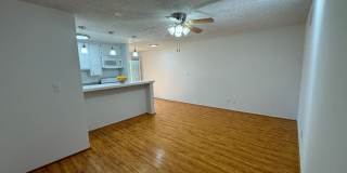 6736 Cleon Ave Gallery 51