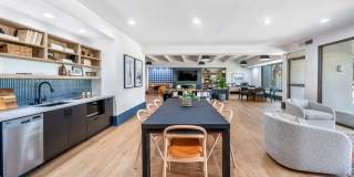 Vine at Panorama Gallery 29