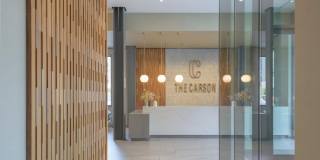 The Carson Gallery 48