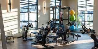 Cadia Sherman Gallery 33