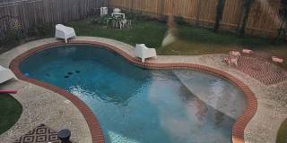 Uptown 1 Bedroom, 1 Bath, Swimming Pool, 1 block from St. Charles Gallery 1