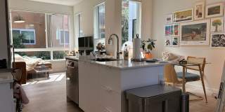 Centrally Located Capitol Hill 2-Bedroom with Rooftop Deck and Parking - Pet-Friendly! Gallery 8