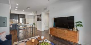 The Fifty Five Fifty Gallery 27