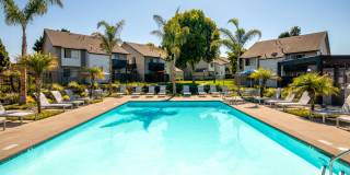 Windscape Village Gallery 11