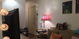 3 bedroom minutes from Boston University Gallery 7