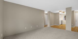 ReNew Dash Point Gallery 29