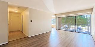 9728 KINGSBRIDGE Drive Gallery 2