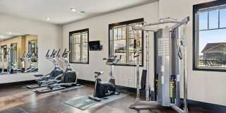 Shannon Creek Gallery 30