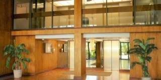 2724 Kahoaloha Lane Gallery 15
