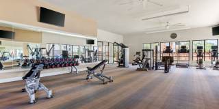 The Point at Town Center Gallery 14