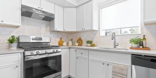 Clermont Apartments Gallery 2