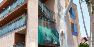3341 Andrita St 3341 Andrita St Gallery 1