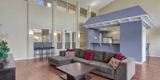 Town Centre Apartments Gallery 17