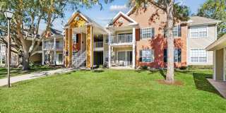 Vista Lake Ned Gallery 28