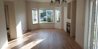 Great Location! Gallery 3