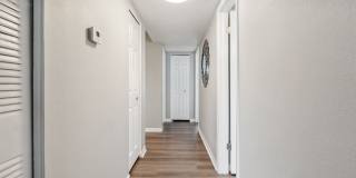 Buena Vista Gallery 34