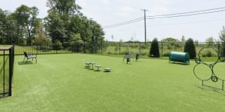 Avalon Laurel Gallery 32