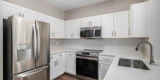 The Windsor Gallery 32