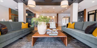 Hawthorne at Holly Springs Gallery 6