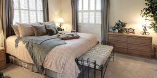 Thornhill Park Gallery 15