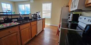 50 Barrett St Gallery 1