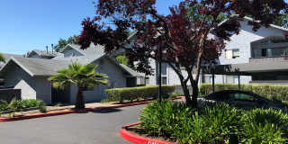 Hillgrove Creek Gallery 6