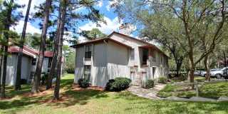 Beautiful 3BR/2BA Southside Condo Beautiful 3BR/2BA Southside Condo Gallery 1