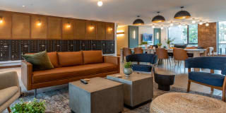 The Village Drey Gallery 53