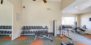 Renaissance Gallery 26