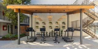 The Highlands Gallery 37