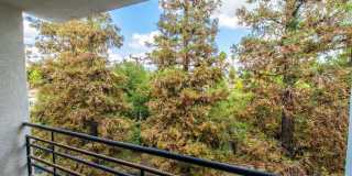 Modern Style 3 Bed / 3 Bath Townhouse + Bonus Room in North Alhambra! Gallery 10