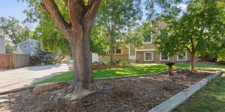 Beautiful 4 bed, 2 bath on Cul-de-sac  w/ large yard available in Central Loveland Gallery 4