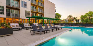 Citrus Commons Gallery 61