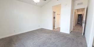 Tempe Terrace Gallery 20