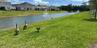754 Cherry Elm Drive - 1 Gallery 35