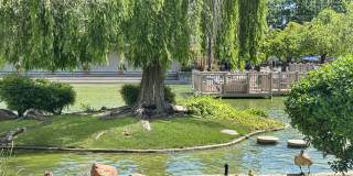 Plenty of Light in an Urban Oasis Gallery 18