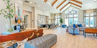 The Magnolia at Georgetown Gallery 17