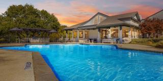 Wray North Dallas Gallery 4