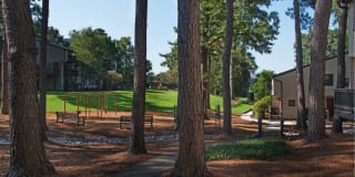 Branchwater Gallery 29