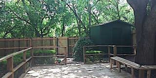 10919 WHISPER VALLEY ST Gallery 27