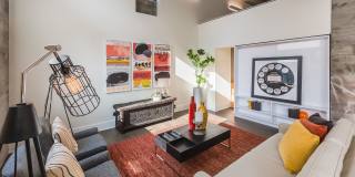 Saxonia Gallery 5