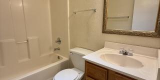 12118 ROYAL WOODS Drive Gallery 19