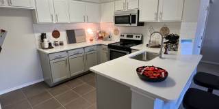 Icon at Norman Gallery 1