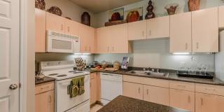 Grand Estates at Kessler Park Grand Estates at Kessler Park Gallery 14