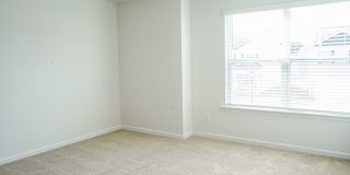 Available Soon! Gallery 41