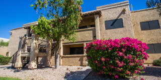 The Vistas Apartment Homes Gallery 22