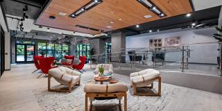 Aster & Links Gallery 35