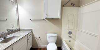 The Mandell Gallery 50